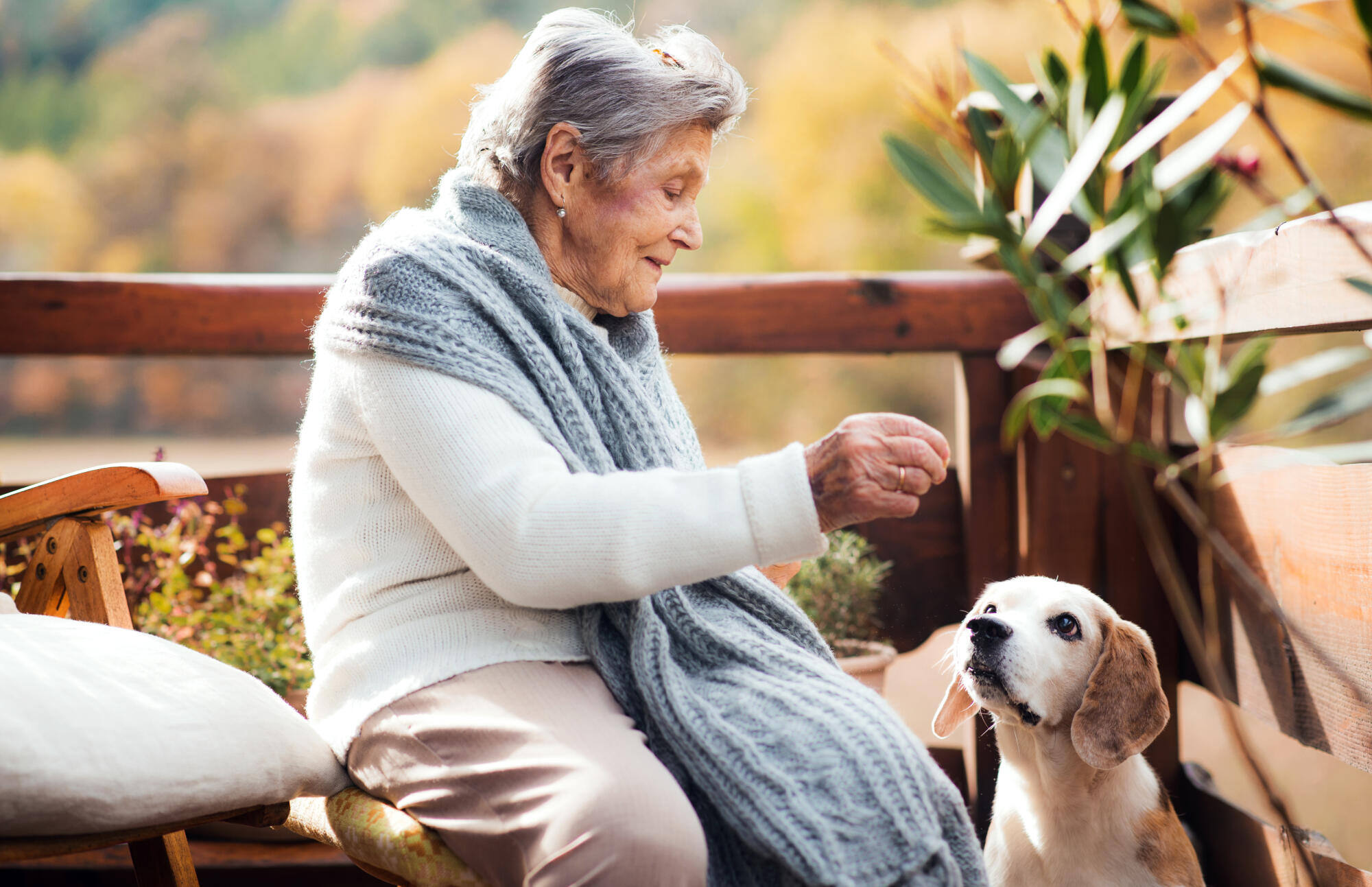 An elderly with a dog